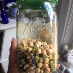 Sprouting beans day 1