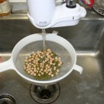 Sprouting beans rinsing