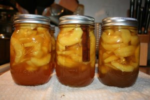 honey peaches canned