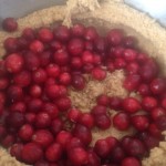 Cranberry cake cranberries